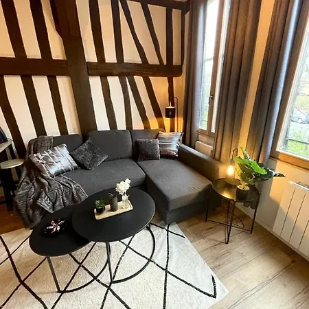 Studio Les Poutres Centre-ville Руан