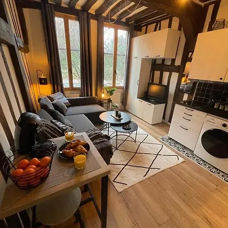 Studio Les Poutres Centre-ville Appartement
