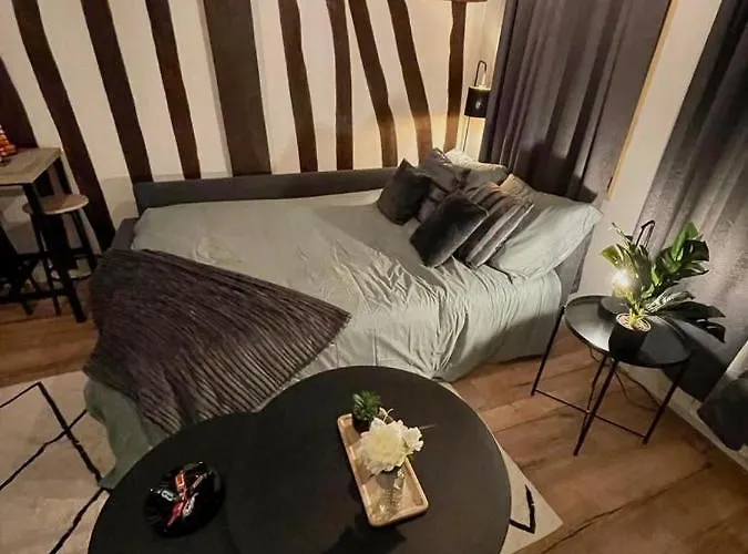 Apartment Studio Les Poutres Centre-ville