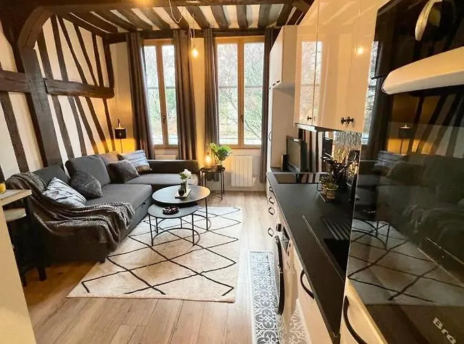 Studio Les Poutres Centre-ville Apartment *