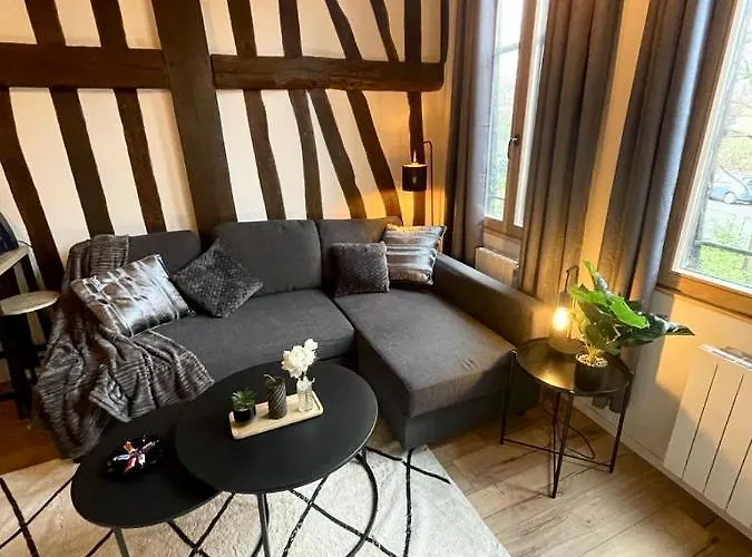 Studio Les Poutres Centre-ville Rouen