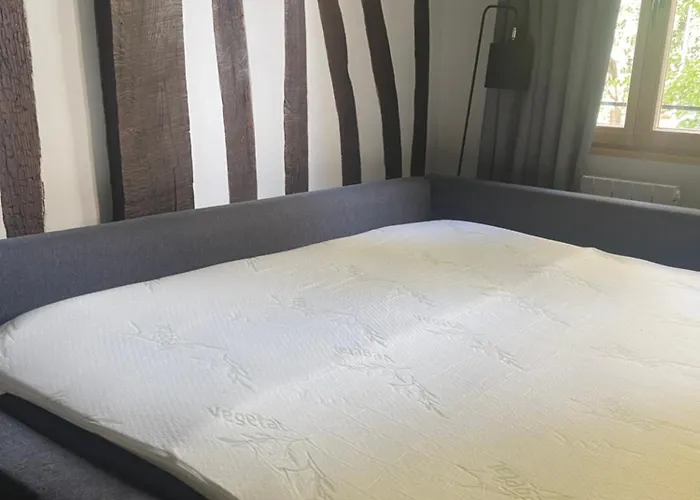 Apartment Studio Les Poutres Centre-ville